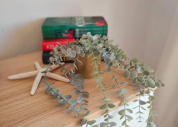 Lejlighed Relax Oasis Del Mar *