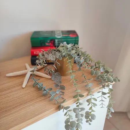 Appartamento Relax Oasis Del Mar *